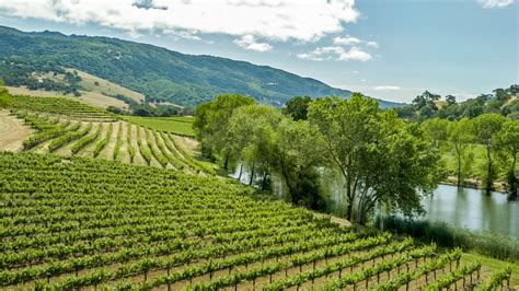 In Pictures: White Oak Ranch & Vineyard in Mendocino Valley, California