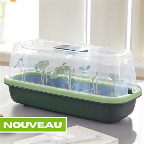 SERRE GREEN BOQUBE - 37 X 19 X 12 CM - DIVERS