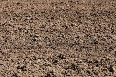 Ground Loop Currents 的图像结果