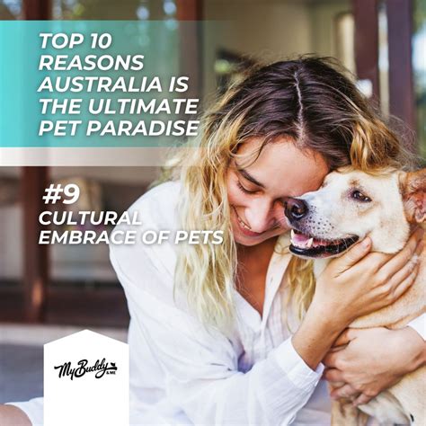 My Buddy And Me on LinkedIn: #mybuddyandme #petcare #petshampoo # ...