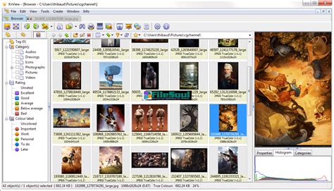Image result for XnView Apk