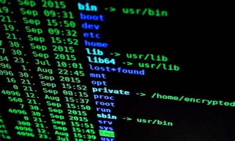 Image result for Basic Commands for Linux File Execution