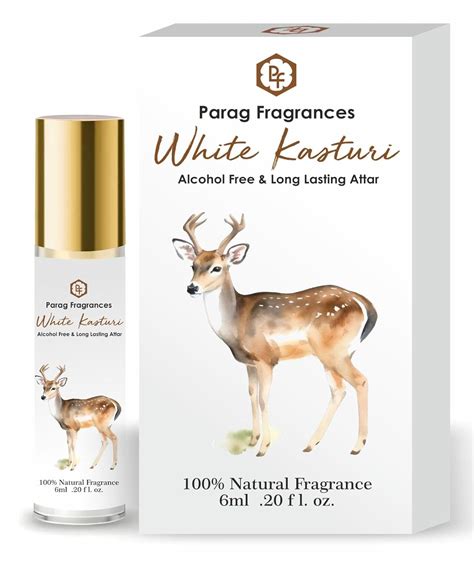 Parag Fragrances Alcohol Free & Long Lasting Attar Perfume Roll-On 6ml ...