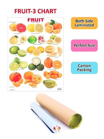 Fruit Chart - 3 Educational Wall Chart For Kids - Both Side Hard ...