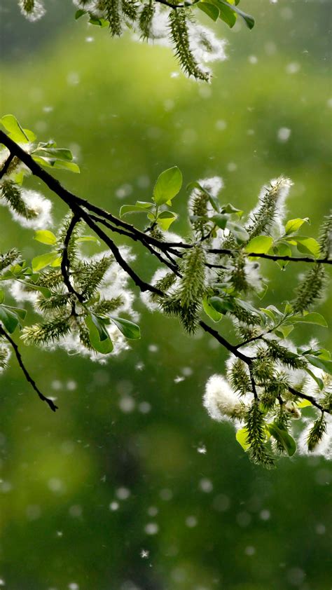 DHS: Carla Faith was running multiple unlicensed daycares | FOX21 News ...