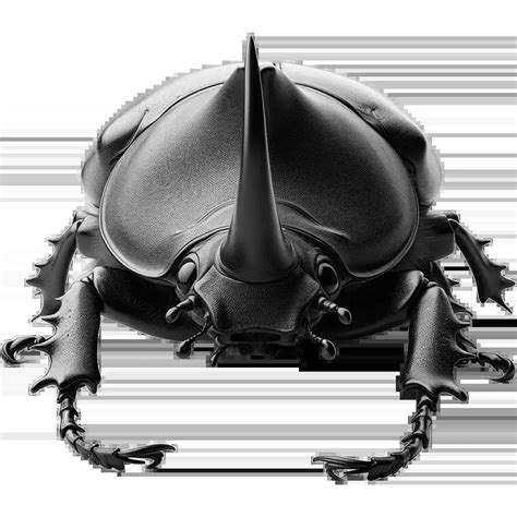 AnimalHub: Housefly, Musca Domestica - Facts, diet, habitat & more