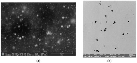 Effect of Ionic Liquid on Silver-Nanoparticle-Complexed Ganoderma ...