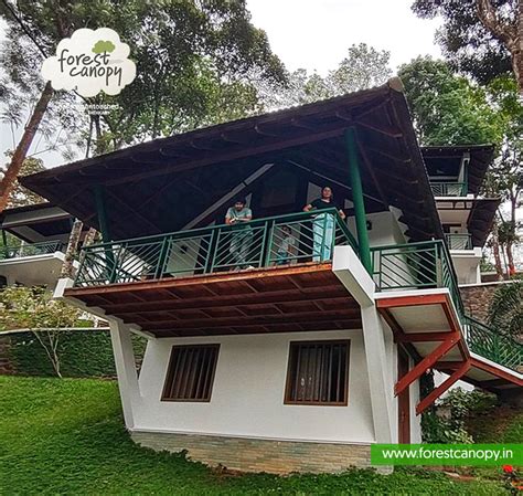 Forest Canopy Social Media
