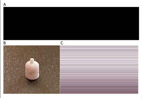 Image result for Intranasal Atomizer