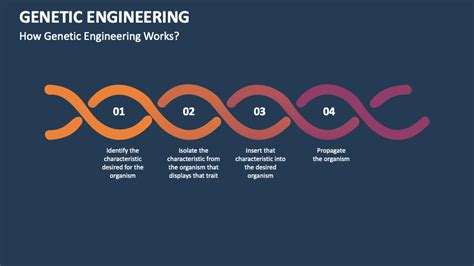 Genetic Engineering Presentation 的图像结果