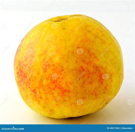 Yellow guava fruit stock photo. Image of exotic, healthy - 49077520