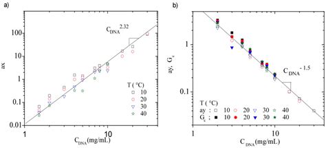 Conformation and Rheological Properties of Calf-Thymus DNA in Solution