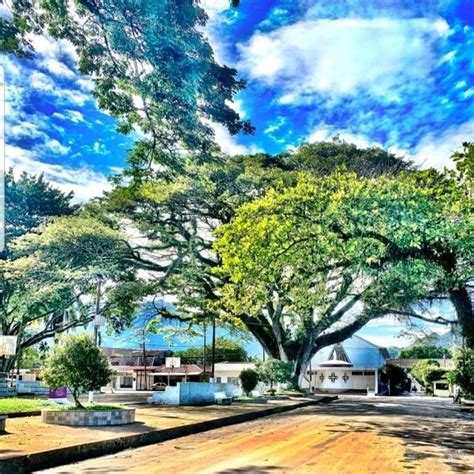 THE BEST Places to Visit in Puerto Rico (UPDATED 2024)