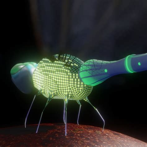 Image result for Computer Animation Showcase Blender