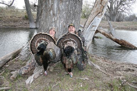 Oklahoma Turkey Hunting guide, Oklahoma Turkey Hunting Outfitter