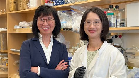 Modeling R-Loop Therapy for Fragile X Syndrome in Patient-Derived Brain ...