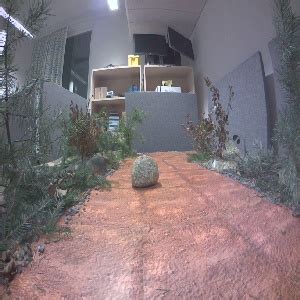 Image result for Open World Object Detection Models