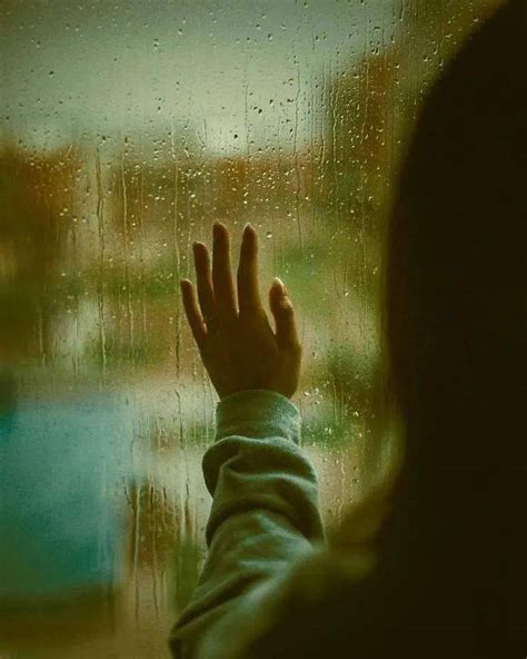 雨中的回忆, 陈若玫 - Qobuz
