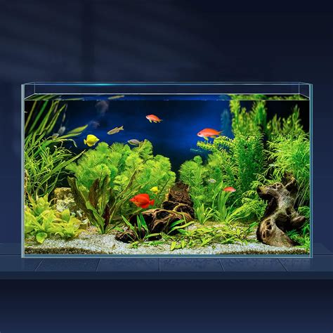 LAQUAL 10 Gallon Ultra Clear Glass Fish Tank, Rimless Low Iron Aquarium ...