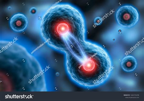 Image result for DNA Cell Replication