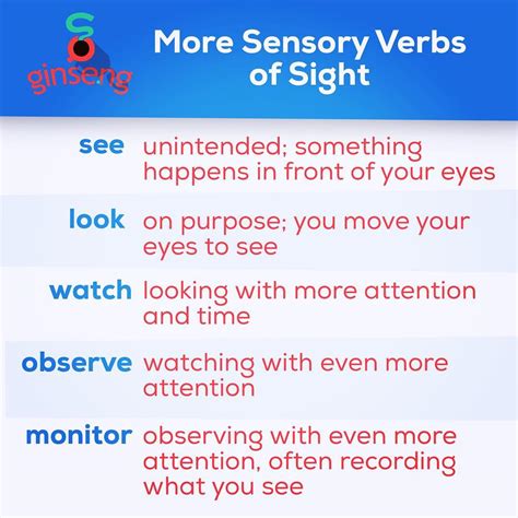 Optical Sentence Examples at Joyce Mckenzie blog