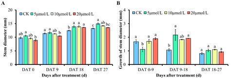 Exogenous GR24 Inhibits Strawberry Tillering by Affecting the ...