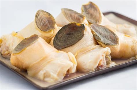 Image result for Conch Shell Meat