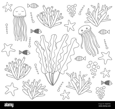 Big sea animals set Stock Vector Image & Art - Alamy