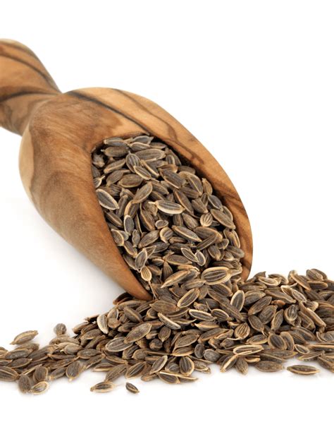 Fresh Dill Vs Dill Weed & Dill Seed - The Short Order Cook