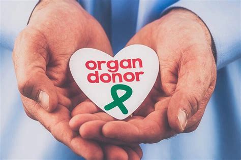 Andhra Pradesh ranks 6th in India for organ donation; 64 lives saved in ...