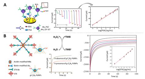 Nanoparticles as Emerging Labels in Electrochemical Immunosensors