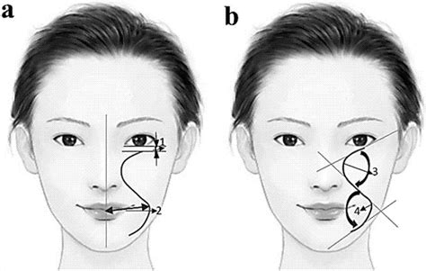 评估面部表观年龄、面部衰老程度的方法及其应用与流程