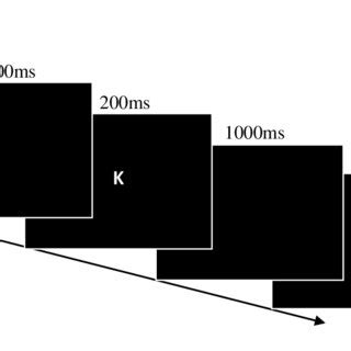 Continuous Performance Task 的图像结果