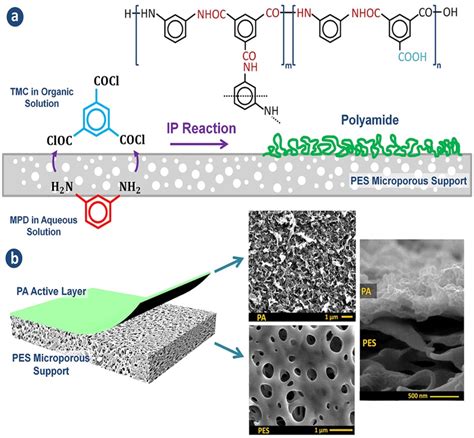 Interfacial Polymerization Process 的图像结果