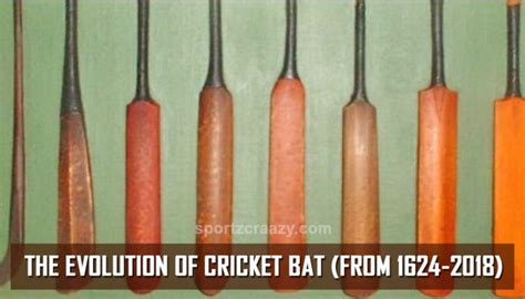 Image result for Cricet Bat Evolution