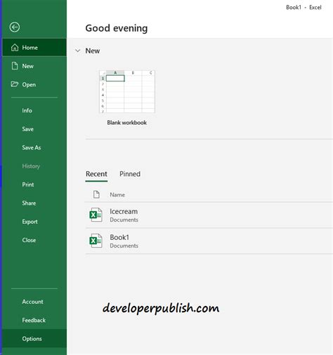 Adding Developer Tab in Excel 的图像结果