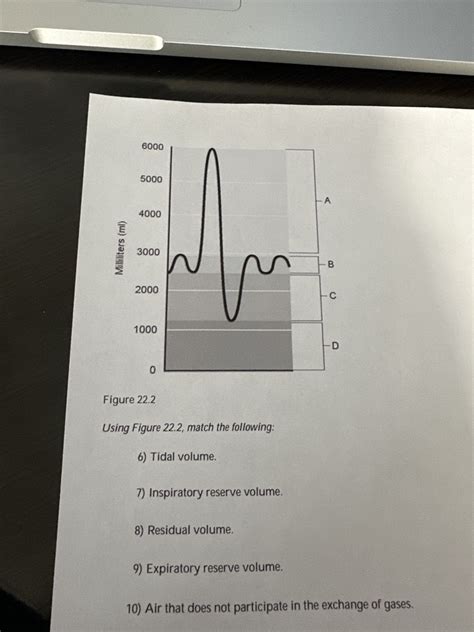 Image result for Tidal Volume Calculation