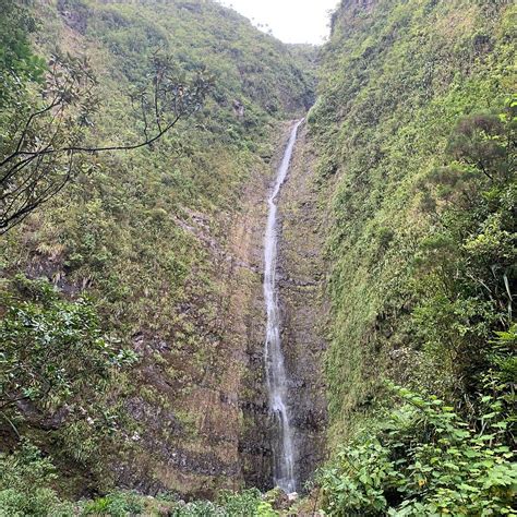 Cascade Biberon (La Plaine-des-Palmistes) - All You Need to Know BEFORE ...