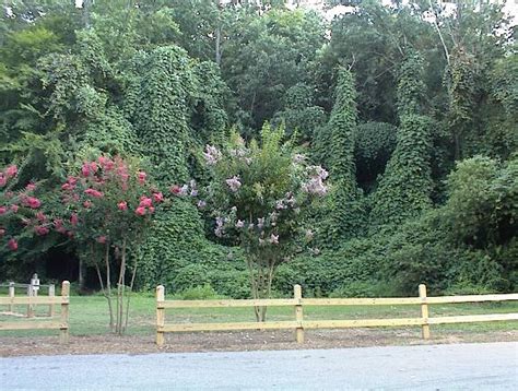 Nature Park 的图像结果