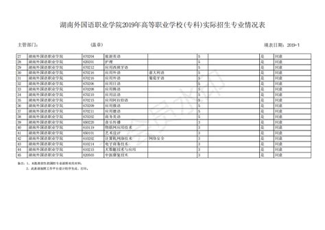 湖南外国语职业学院 - 庆祝中华人民共和国成立70周年 - 湖南省民办教育协会