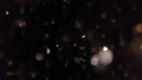 Image result for Particle Video Download