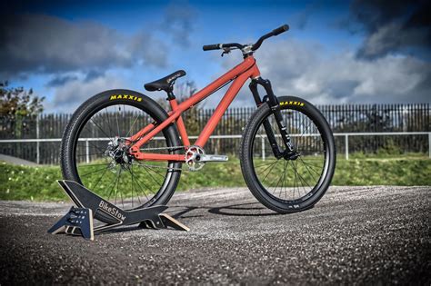 Custom Dirt Jumper