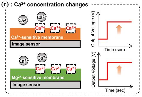 CMOS-Based Implantable Multi-Ion Image Sensor for Mg2+ Measurement in ...