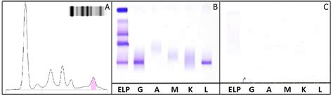 Analytical Criticalities Associated to Different Immunological Methods ...