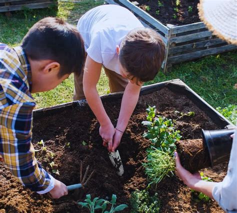 Image result for Fertigation Planting