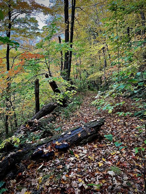 Woodbury Mountain Wilderness Preserve: Vermont - Wildlands & Woodlands