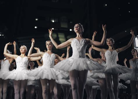 Image result for Opera Ballet Performances