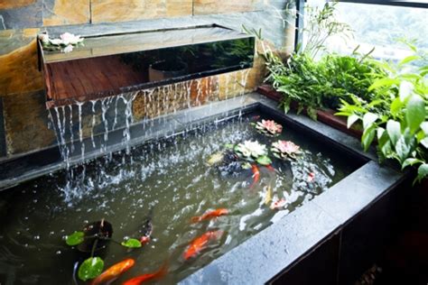 20个“庭院鱼池”案例，如果你有一个庭院，一定要设计一个鱼池！ - 知乎