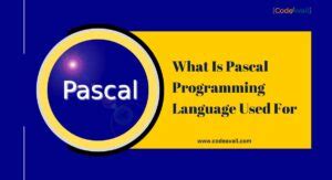 Image result for History of Pascal Programming Language