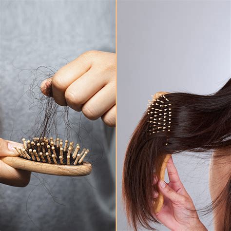 Weak & Thinning Hair Combo | Cleanser & Conditioner – The Earth Collective